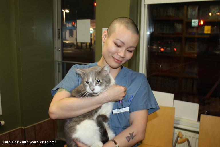 Romeo at the vet's