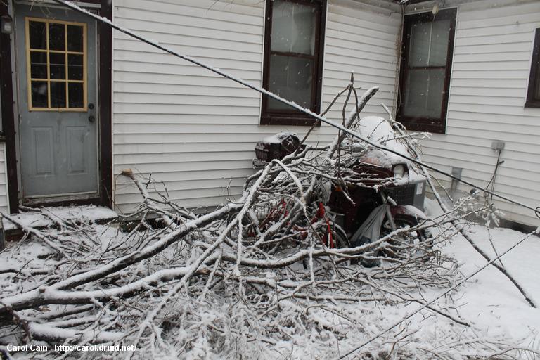 Toronto's ice storm of 2013