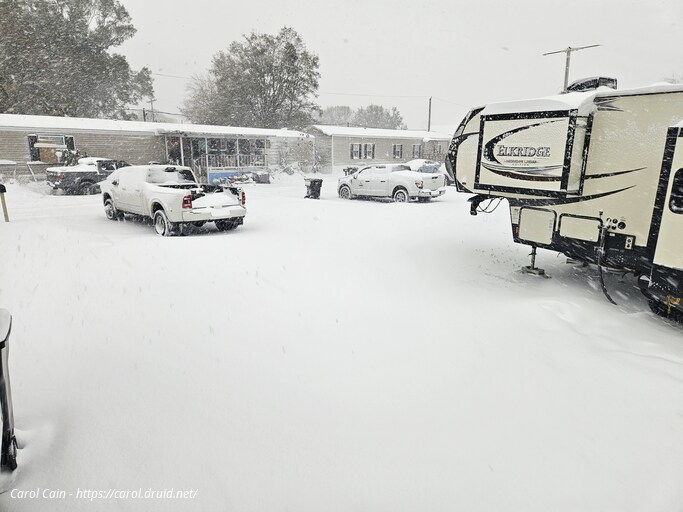 Snow Day in New Orleans Jan 2025